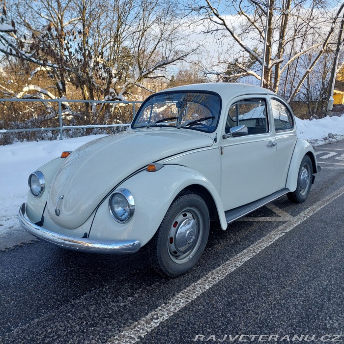 Volkswagen Brouk 