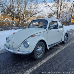 Volkswagen Brouk 