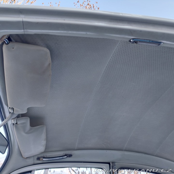 Volkswagen Brouk  1972