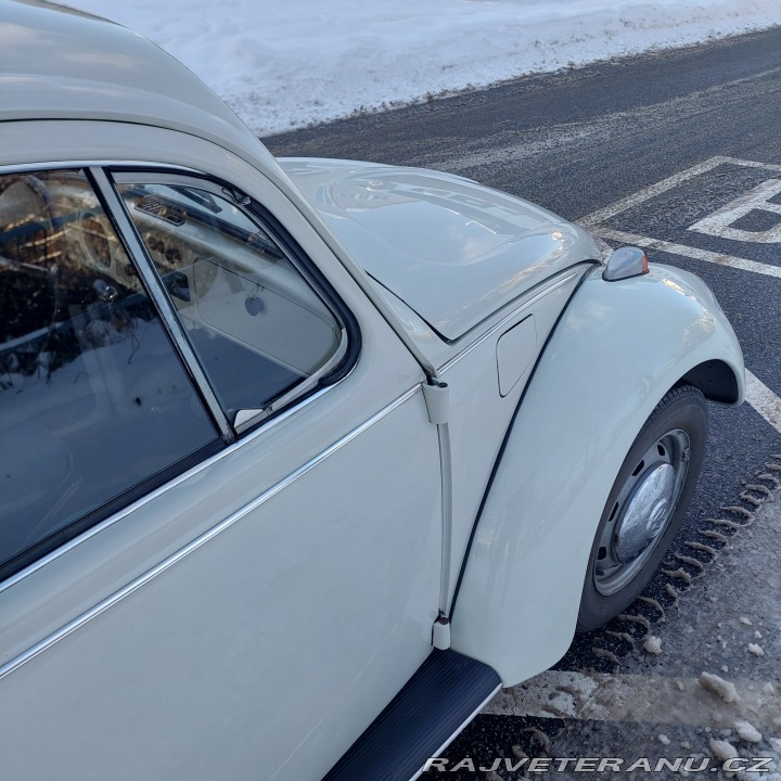 Volkswagen Brouk  1972