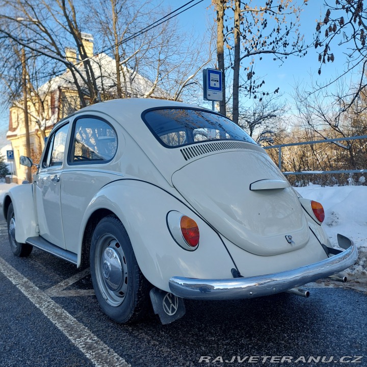 Volkswagen Brouk  1972