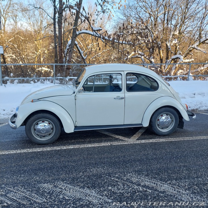 Volkswagen Brouk  1972