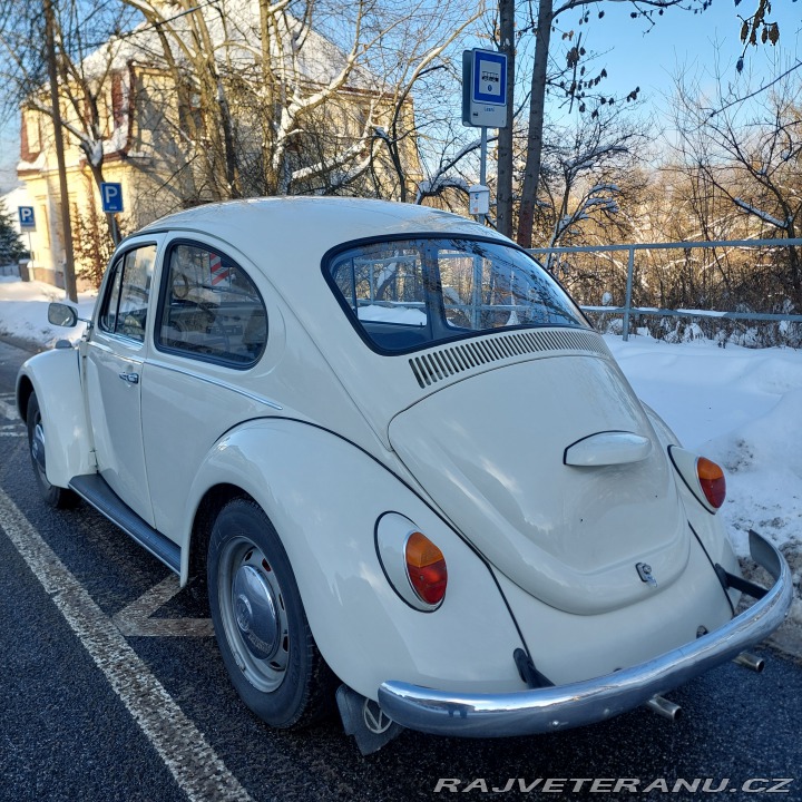 Volkswagen Brouk  1972