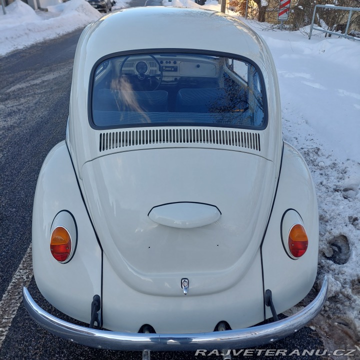 Volkswagen Brouk  1972