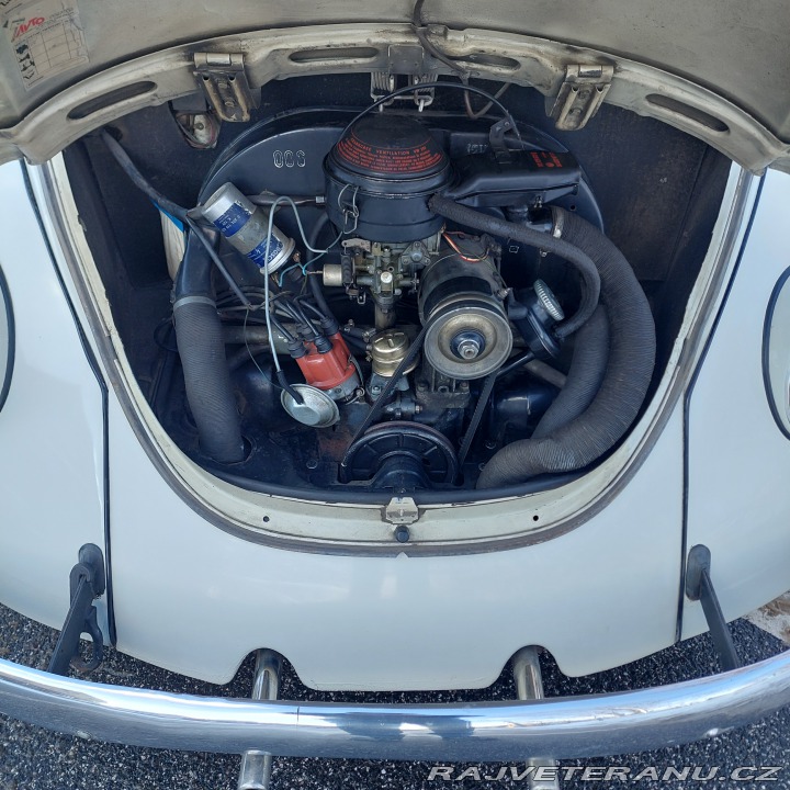 Volkswagen Brouk  1972