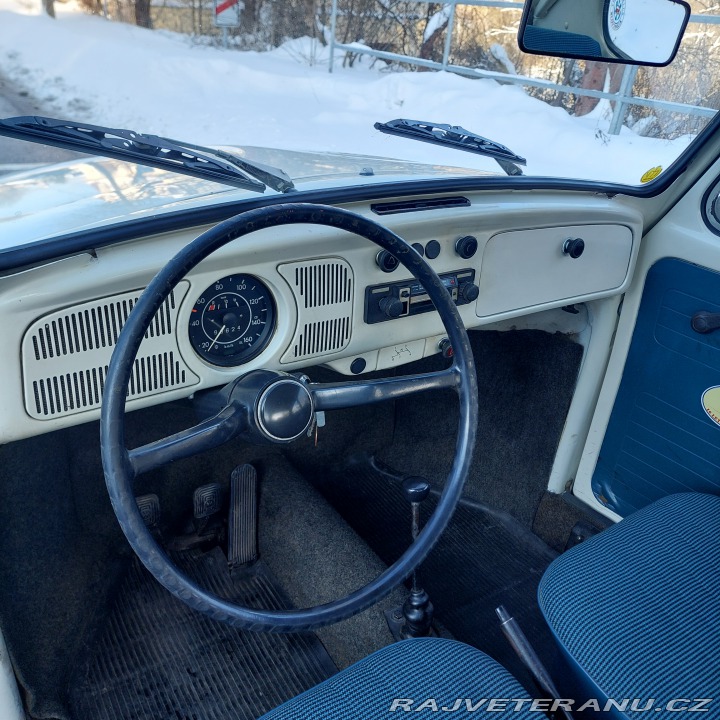 Volkswagen Brouk  1972