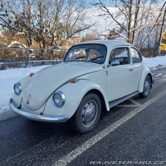 Volkswagen Brouk 1972