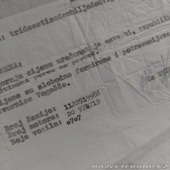 Volkswagen Brouk 1972