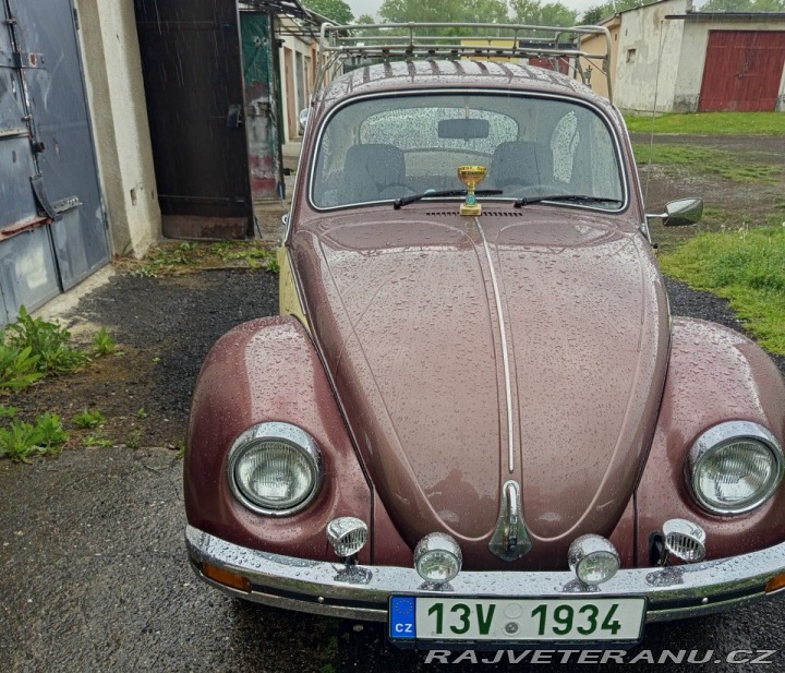 Volkswagen Brouk 1200l 1983