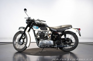 Triumph  THUNDERBIRD 650