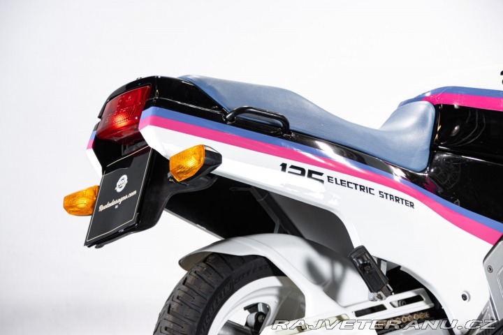 Ostatní značky Ostatní modely Aprilia AF1 125 PROJECT 108 1987