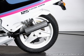 Ostatní značky Ostatní modely Aprilia AF1 125 PROJECT 108 1987