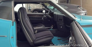 Ostatní značky Ostatní modely AMC Javelin SST 360 1971