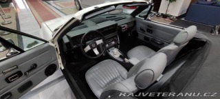 Triumph TR7 cabrio 1981