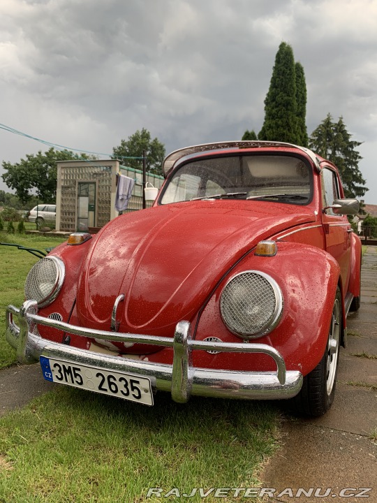 Volkswagen Brouk  1968