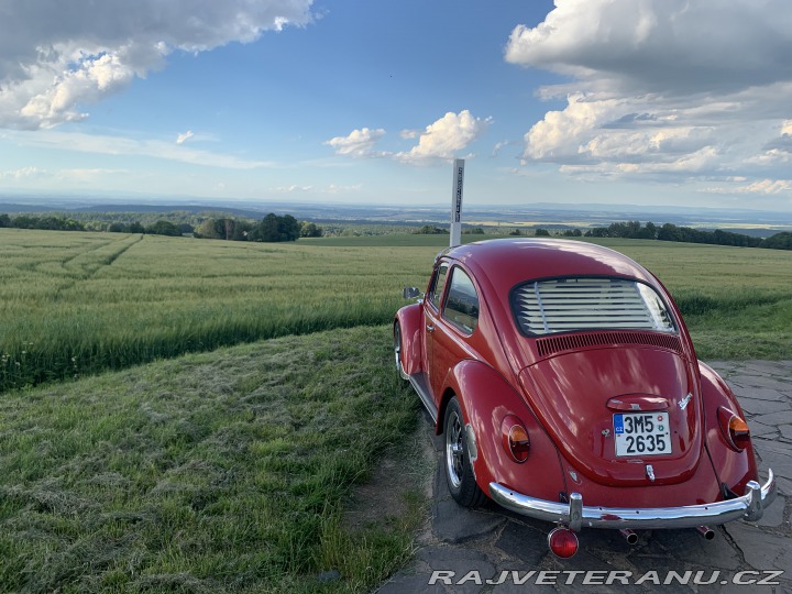 Volkswagen Brouk  1968