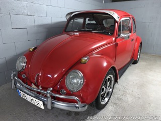 Volkswagen Brouk  1968