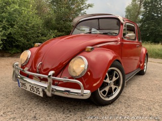 Volkswagen Brouk  1968