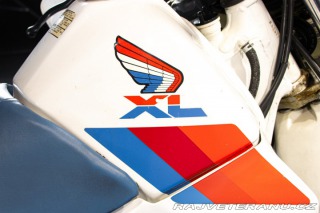 Ostatní značky Ostatní modely XL 600 1988