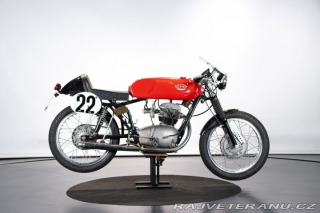 Ostatní značky Ostatní modely Gilera 175 SUPER SPORT DERIVATA CORSA 1956