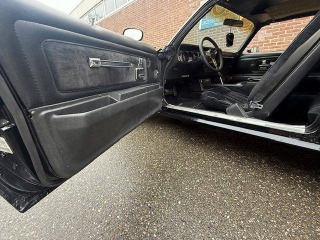 Pontiac Firebird Trans Am Targa 1978