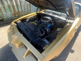 Pontiac Firebird Trans Am 1982