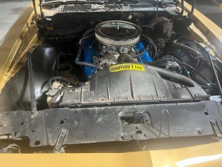 Pontiac Firebird Trans Am 1982