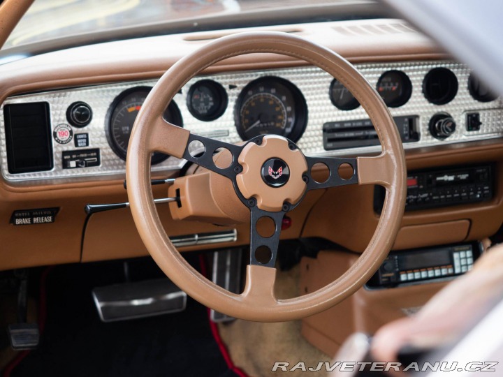 Pontiac Firebird Trans Am Targa 1980
