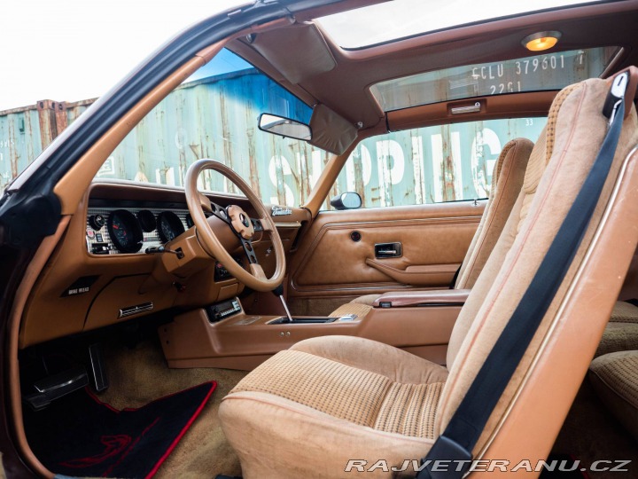 Pontiac Firebird Trans Am Targa 1980