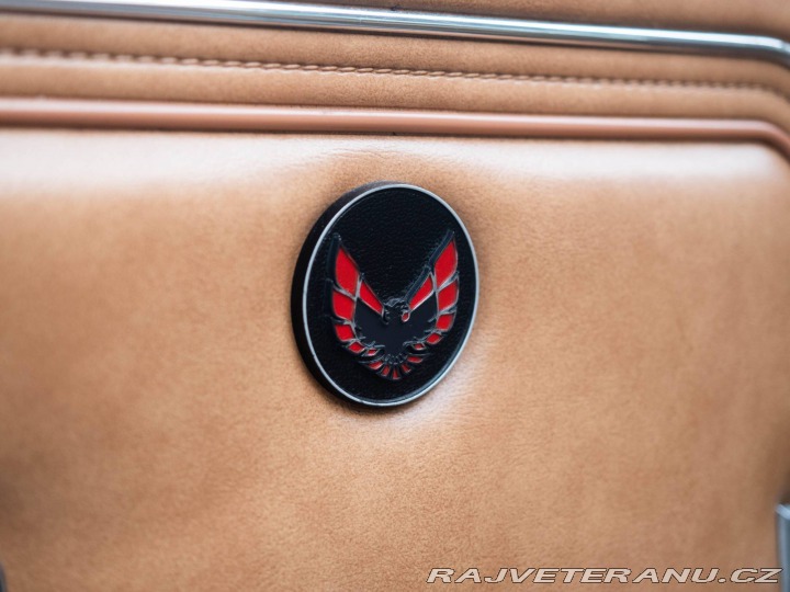 Pontiac Firebird Trans Am Targa 1980