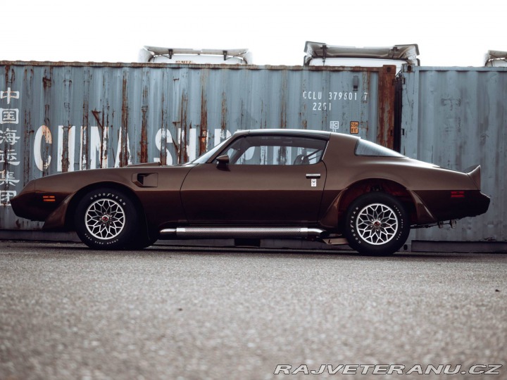 Pontiac Firebird Trans Am Targa 1980