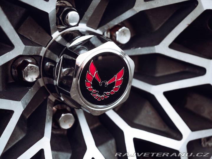 Pontiac Firebird Trans Am Targa 1980