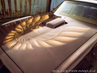 Pontiac Firebird Trans Am Targa 1980