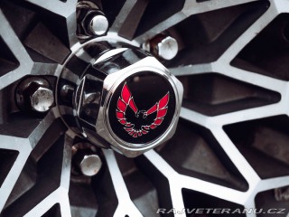 Pontiac Firebird Trans Am Targa 1980