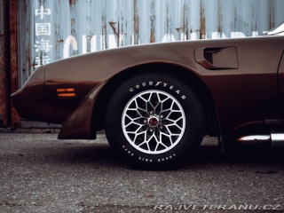 Pontiac Firebird Trans Am Targa 1980