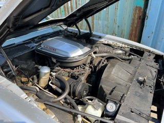 Pontiac Firebird Trans Am 1977