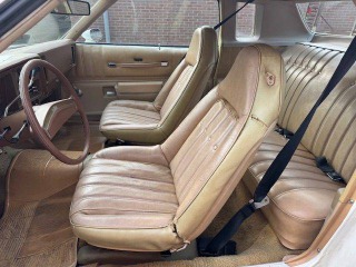 Chevrolet Monte Carlo  1976