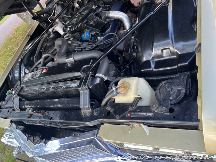 Cadillac Coupe de Ville  1973