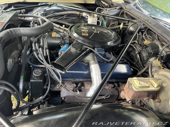 Cadillac Coupe de Ville  1973