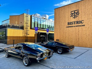 Ford Mustang Fastback GTA 1967