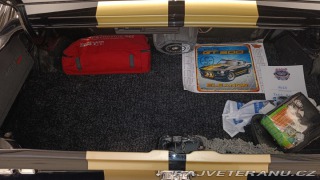 Ford Mustang Fastback GTA 1967