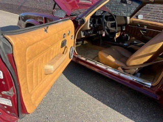 Chevrolet Camaro Z28 TARGA 1980