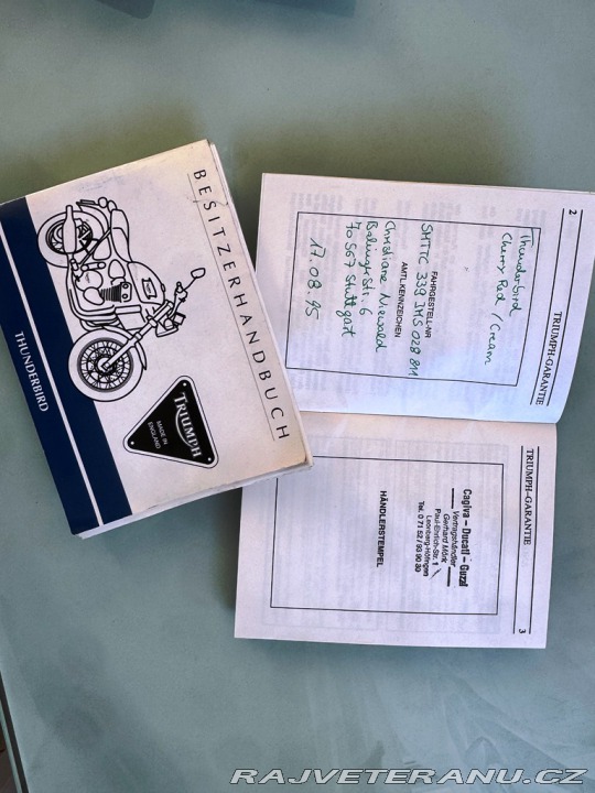 Triumph Ostatní modely Thunderbird 1995