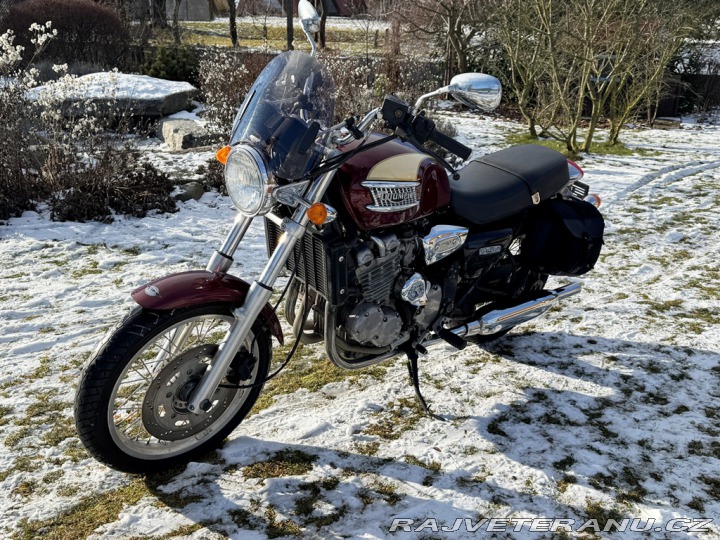 Triumph Ostatní modely Thunderbird 1995