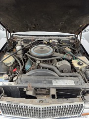 Cadillac Seville 350CUI 1979