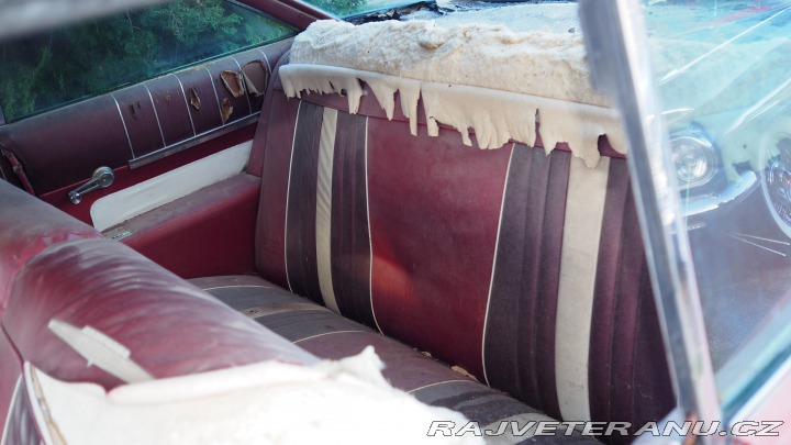 Pontiac Ostatní modely Ventura 1960