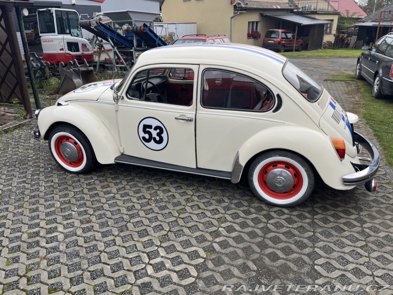 Volkswagen Brouk 1303s