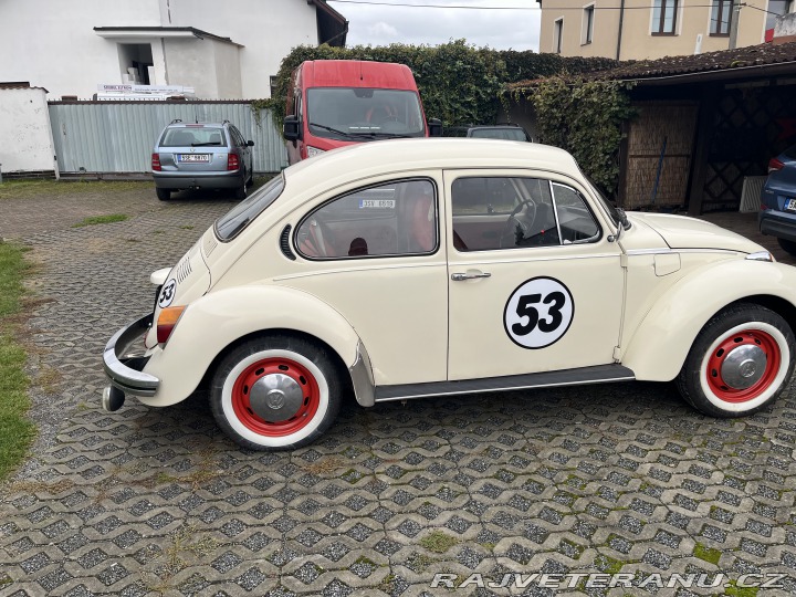Volkswagen Brouk 1303s 1973