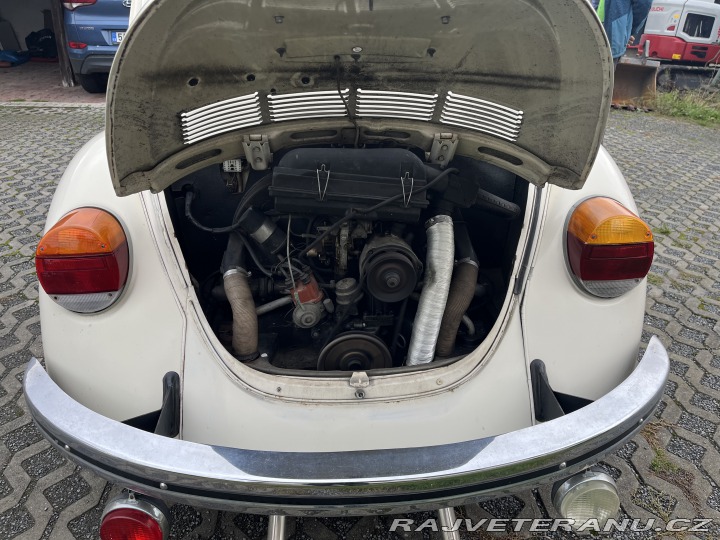 Volkswagen Brouk 1303s 1973