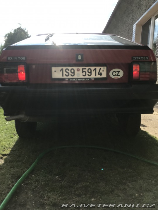 Citroën BX  1991